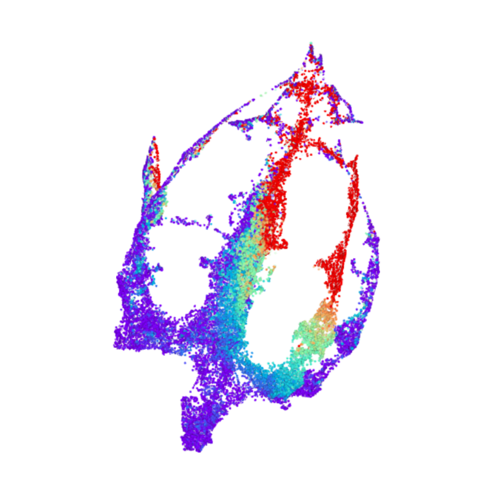 Deep Topological Modeling visualization